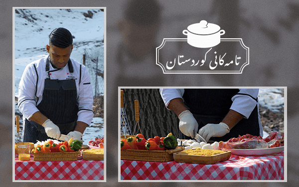 تامەکانی کوردستان 