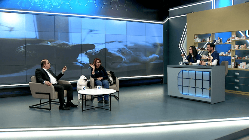 بەخێوکردنی سەگ و پشیلە لە ماڵەوە: مەترسی و سوودەکانی