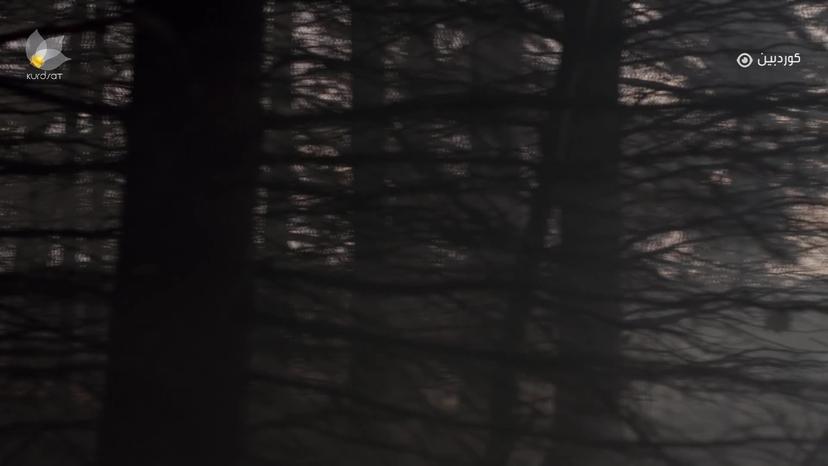 ئان _ ئەڵقەی چوار